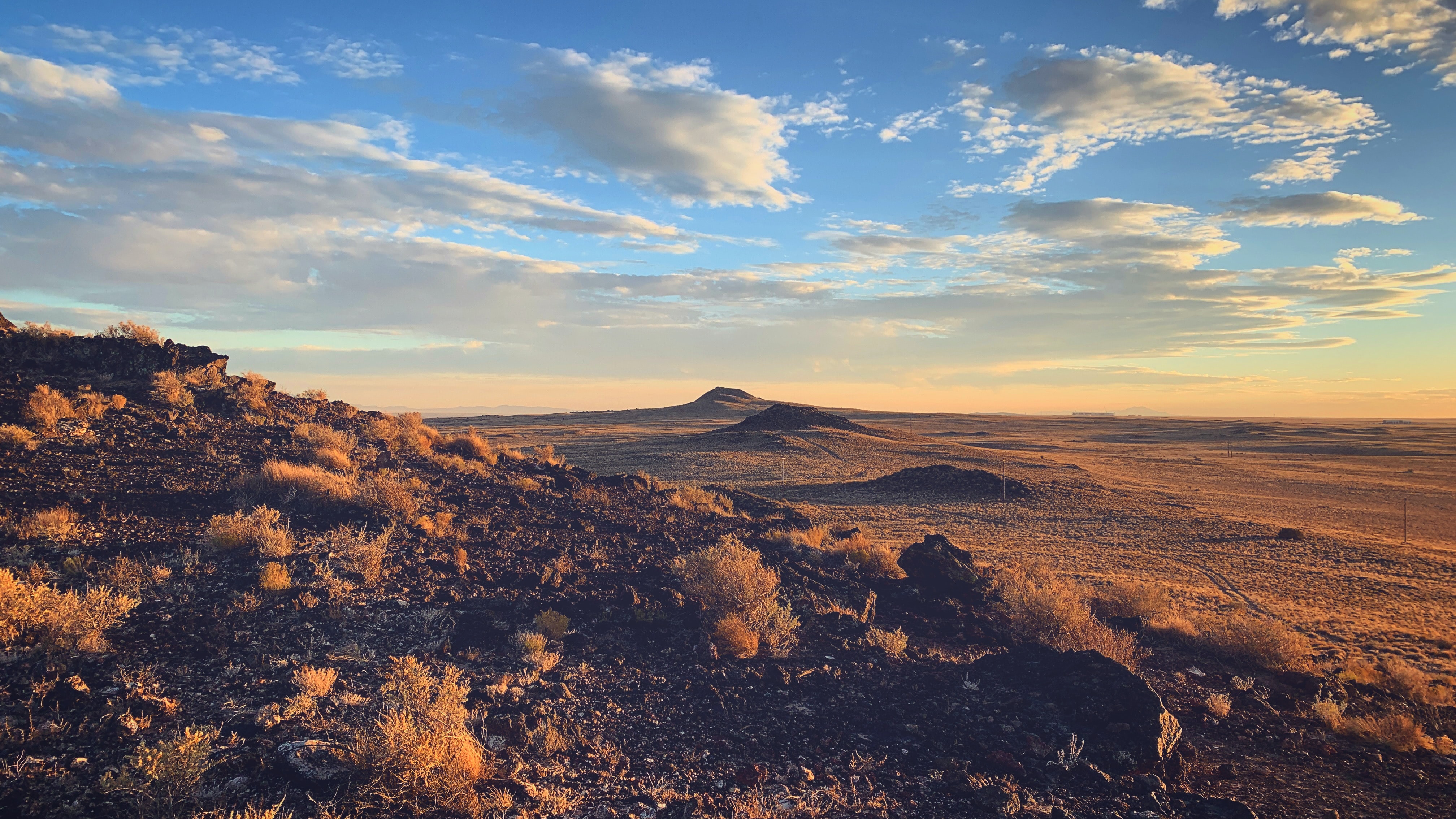 ethan-wright-magoon-l0iyYnf5l3w-unsplash
