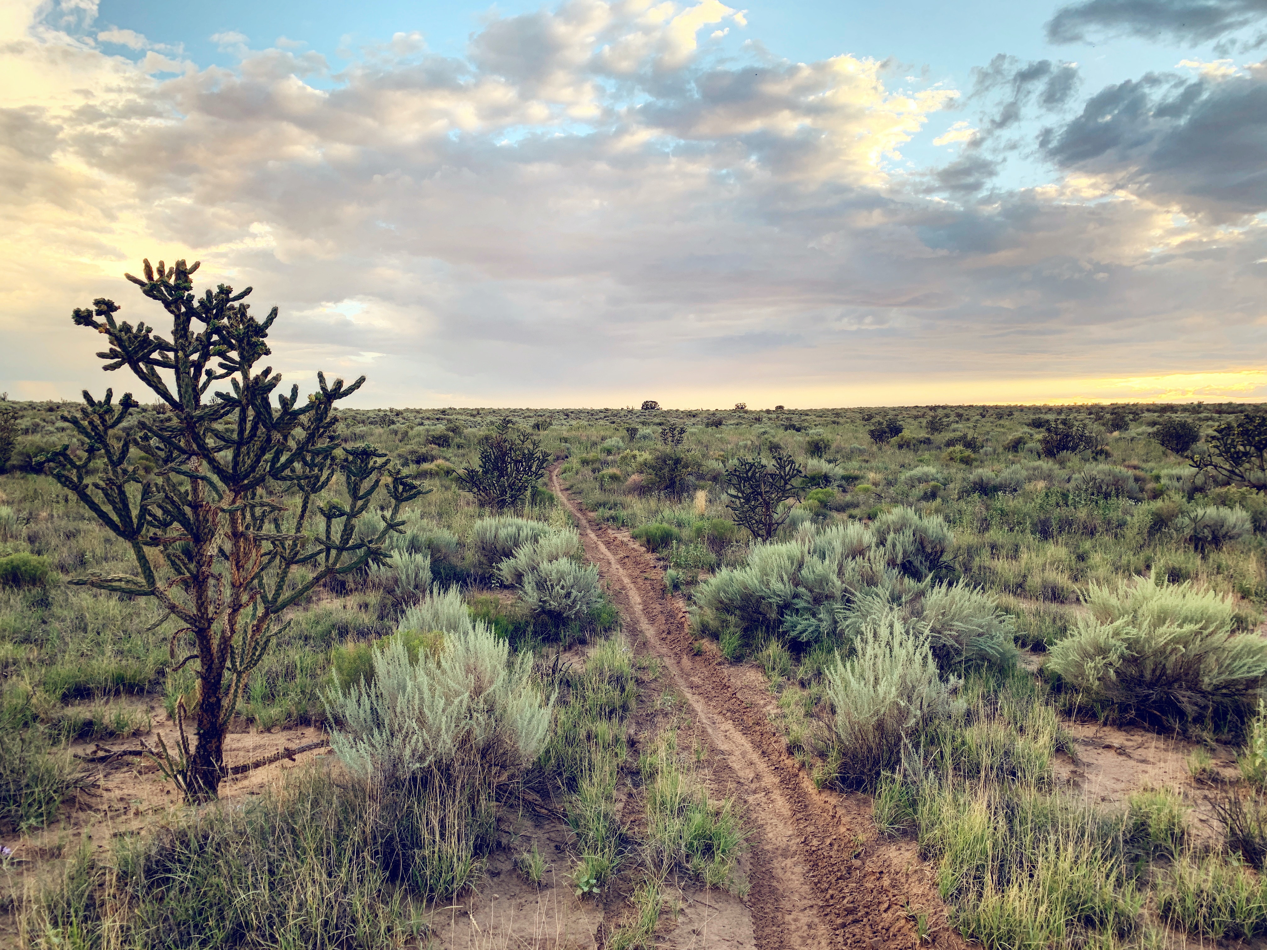 ethan-wright-magoon-rl5wIijyE10-unsplash