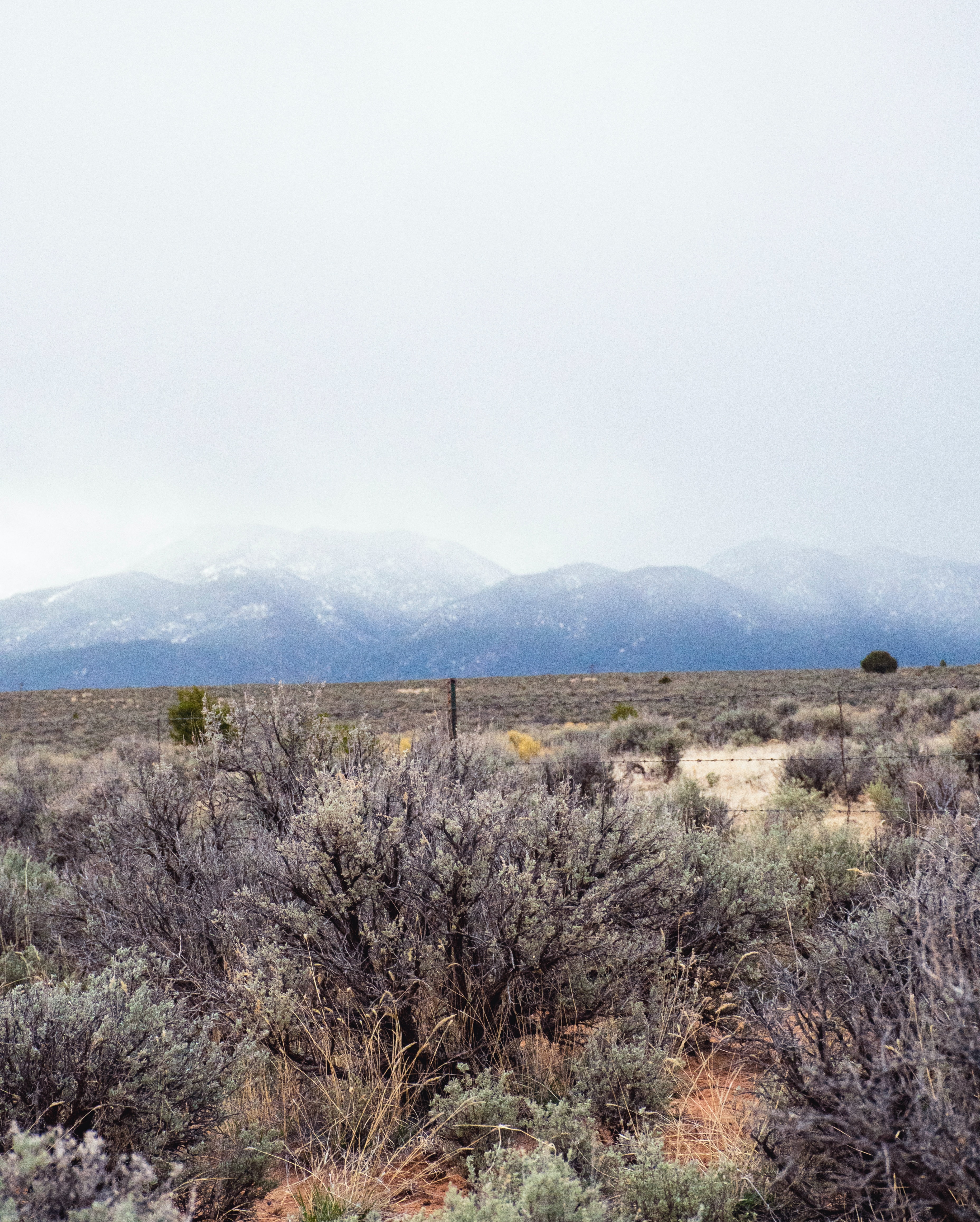 gabriel-tovar-dKv7yIoverc-unsplash