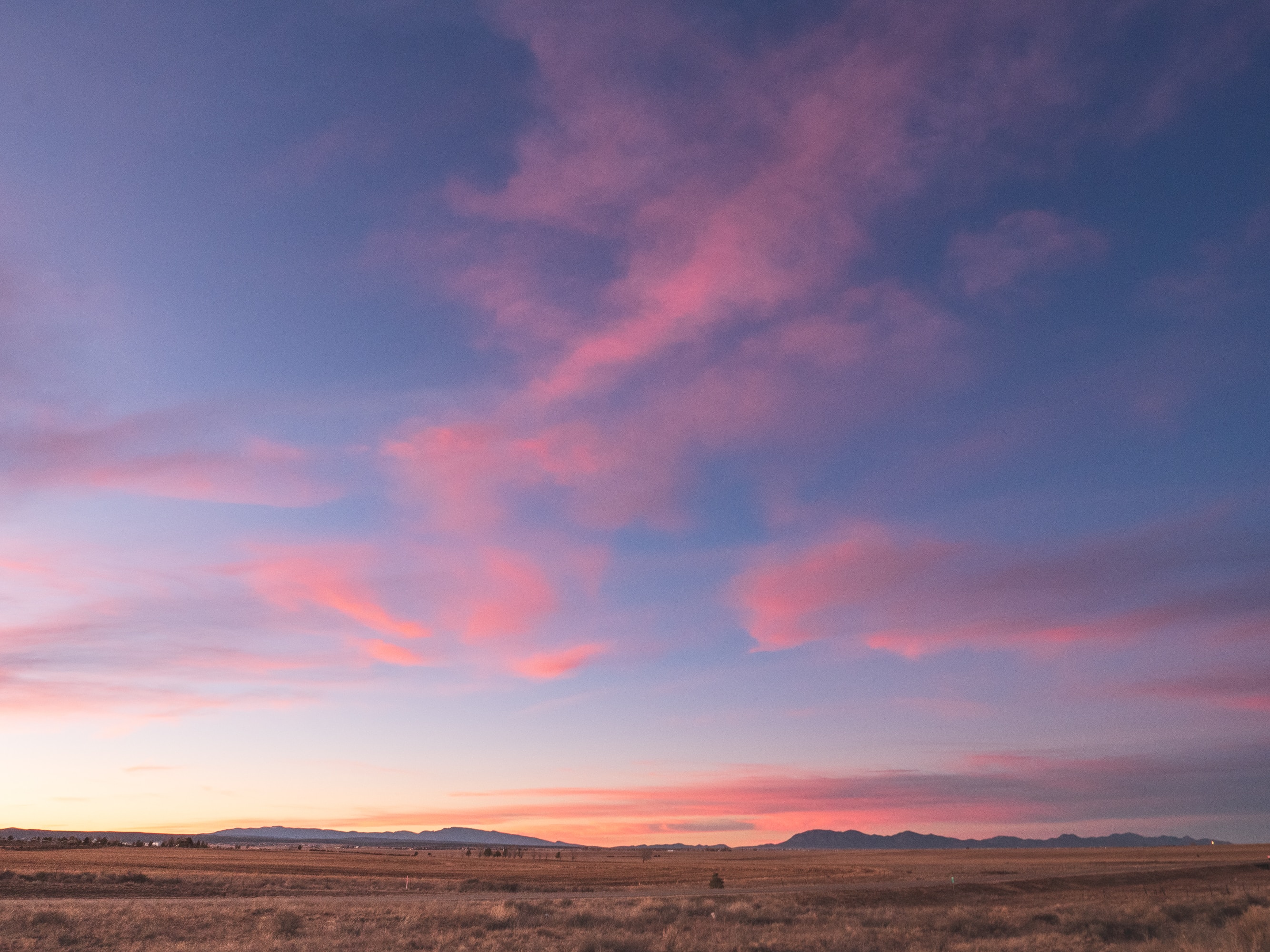 raychel-sanner-8Dgositul9o-unsplash